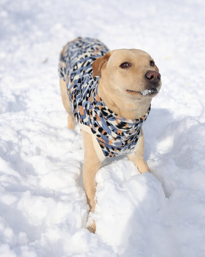 Blue leopard fleece dog sweater on Labrador playing in snow