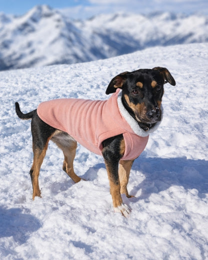 Blush pink fleece dog hoodie with sherpa trim on black dog, side profile standing on snowy mountain top