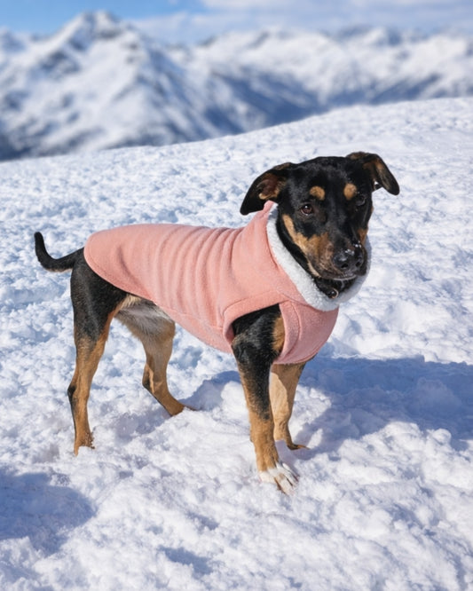 Blush pink fleece dog hoodie with sherpa trim on black dog, side profile standing on snowy mountain top