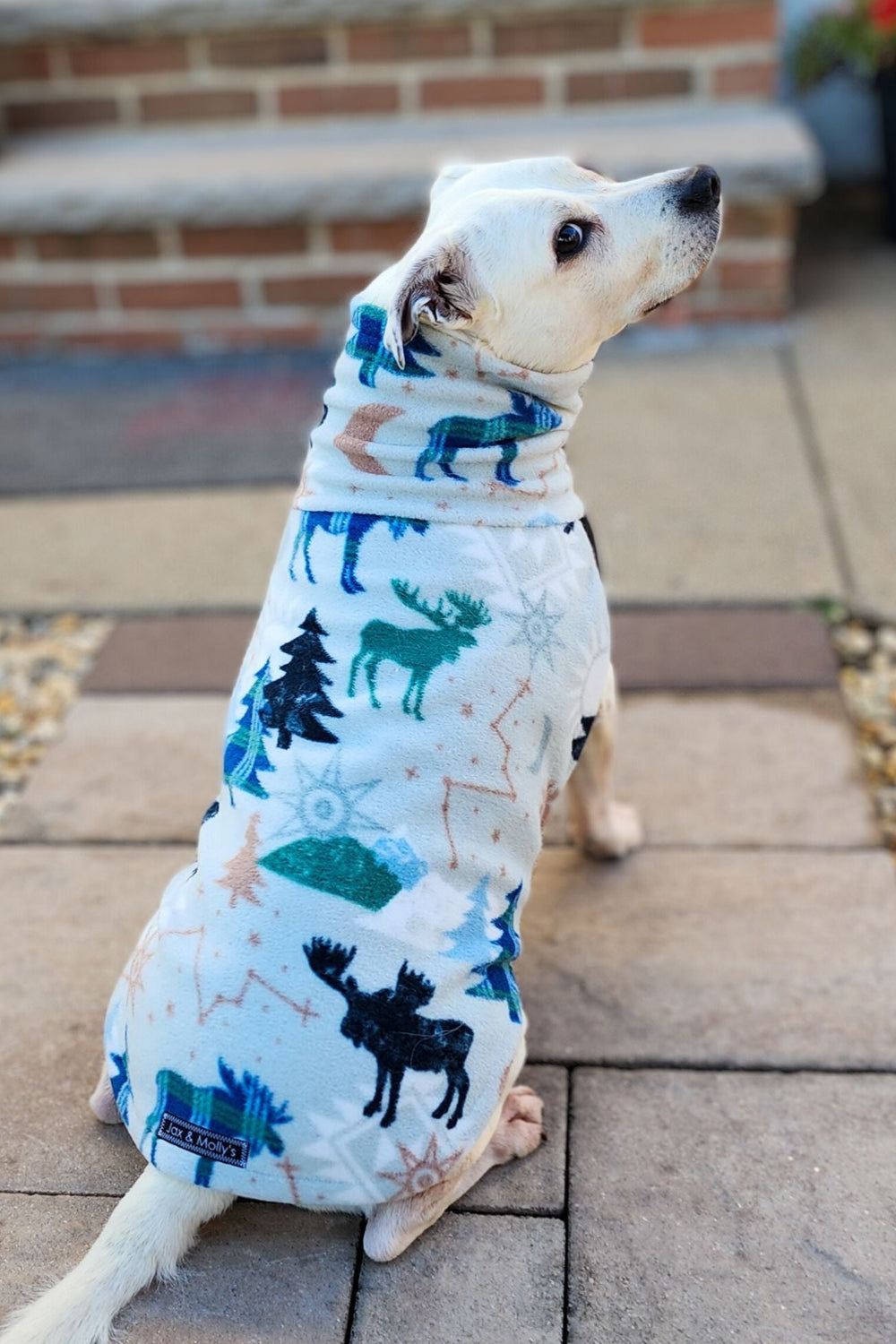 Back profile of a white pup wearing a fleece sweater featuring a delightful mix of moose, pine trees, moon, and sun, with artistic lines and accents on a light background.