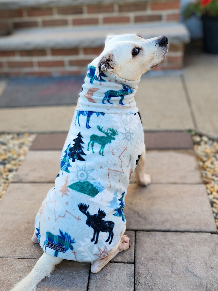 Celestial Wilderness Dog Sweater