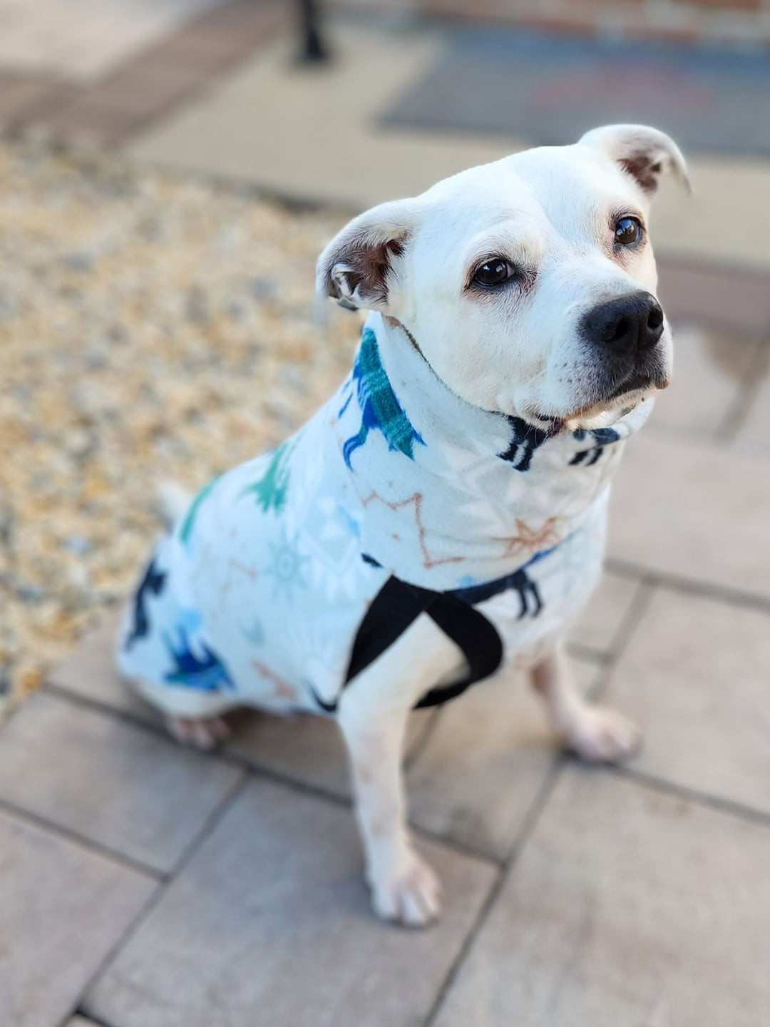 Side profile of a white pup wearing a fleece sweater featuring a delightful mix of moose, pine trees, moon, and sun, with artistic lines and accents on a light background.