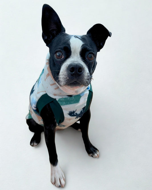 Side profile of a white pup wearing a fleece sweater featuring a delightful mix of moose, pine trees, moon, and sun, with artistic lines and accents on a light background.