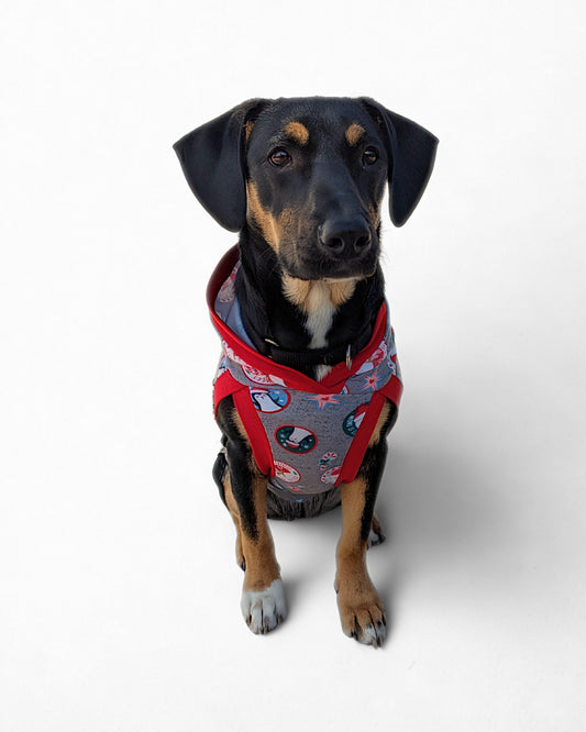 Dog wearing grey Christmas dog pajama with hood and red trim by Jax & Molly’s