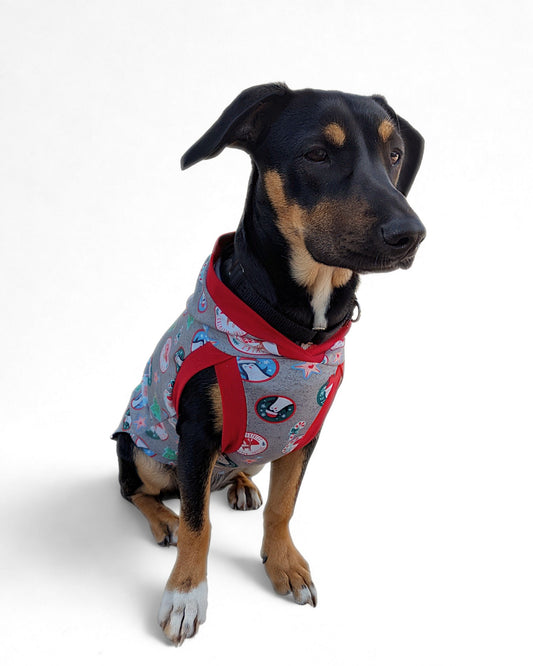 Dog wearing grey Christmas dog pajama with hood and red trim by Jax & Molly’s