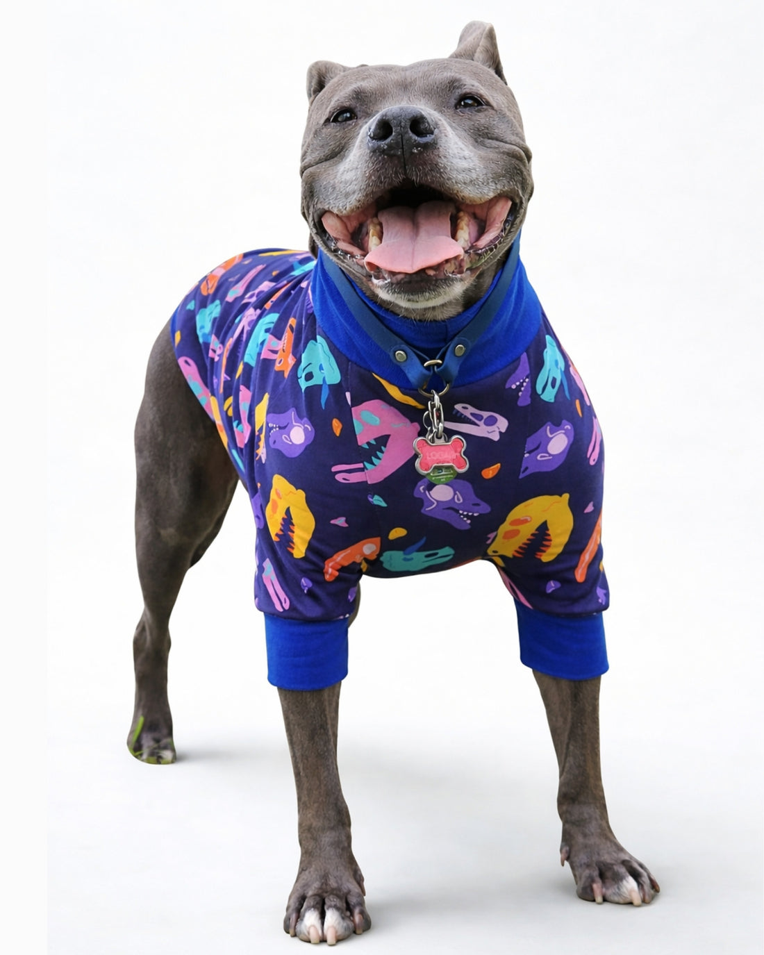 Colorful Dino Skulls Cotton-Spandex Dog Pajamas