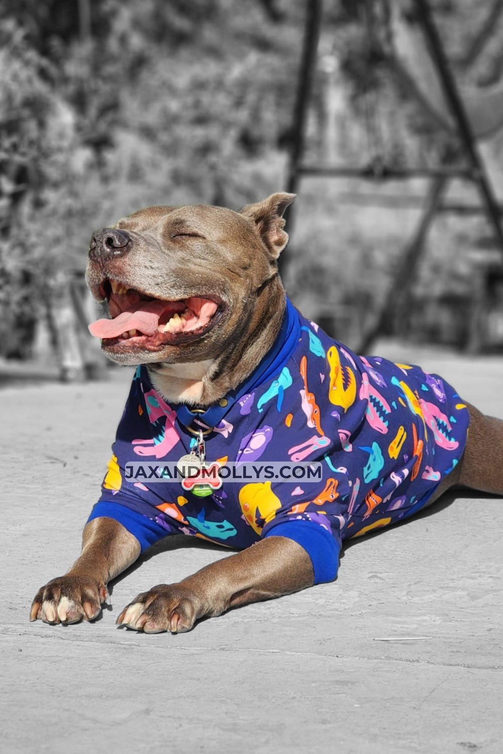 Jax Molly s Handmade Dog Pajamas Stylish Comfortable Sleepwear for Dogs