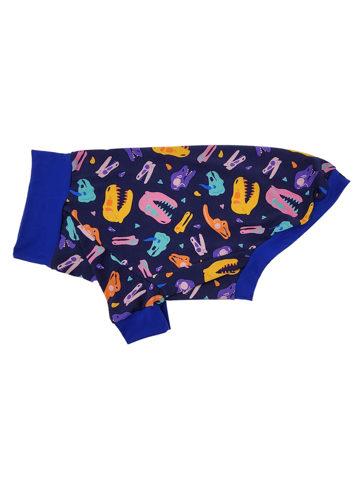 Side view of blue raglan dog pajamas adorned with colorful dinosaur skull complemented by royal blue trim.