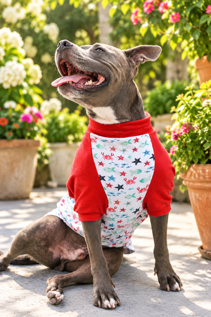 Happy gray dog wearing Crabby Sea Creature dog pajamas with red sleeves while sitting in a bright flower garden.