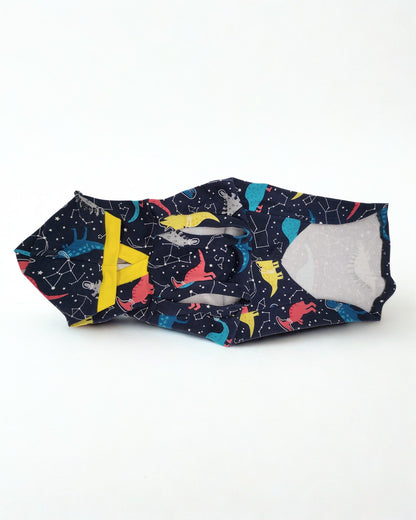 Navy Dog Hoodie with Yellow Trim and Dino Constellation Print – Jax & Molly’s