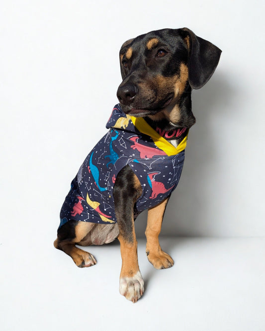Dog wearing a colorful dinosaur hoodie with yellow trim