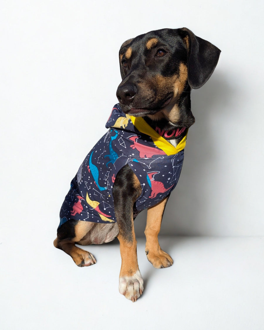 Dino Constellations Dog Hoodie - Cotton Spandex, Made-to-Order