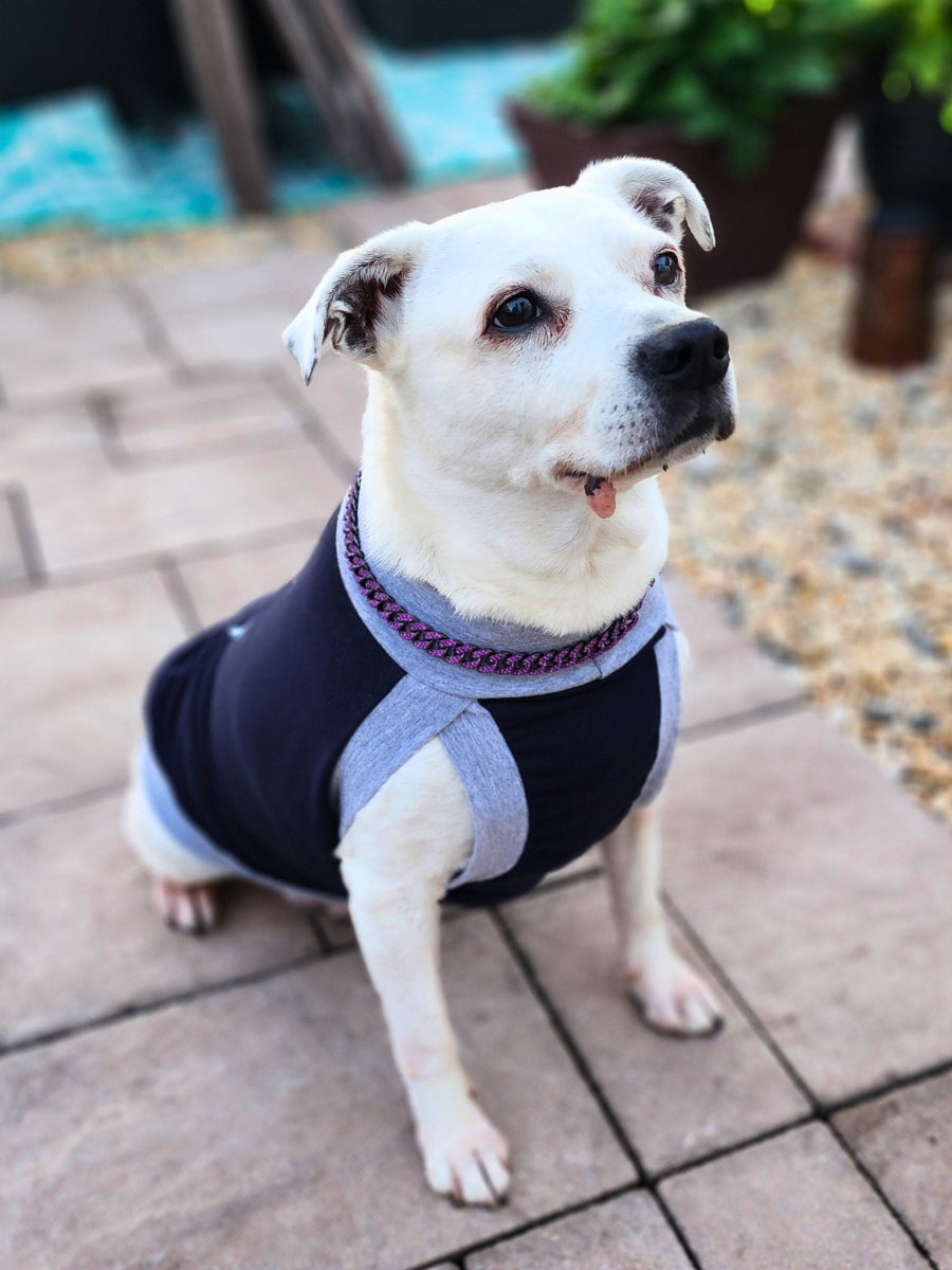 Adorable white dog modeling a navy blue muscle tank with grey trim, and a purple gemmed necklace.