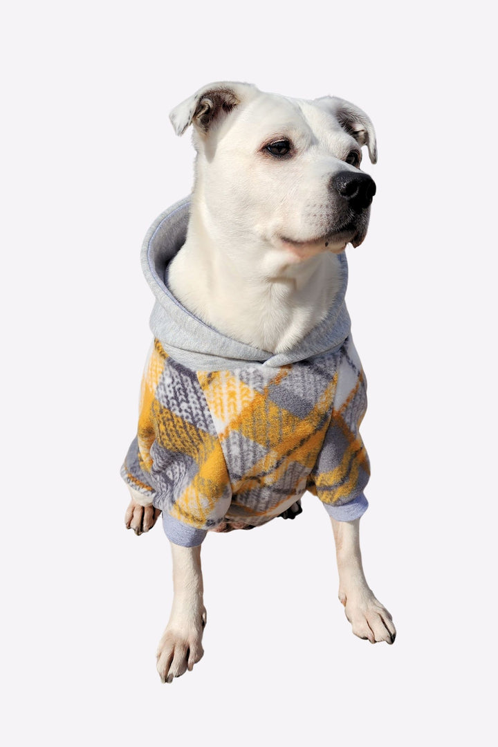 Adorable white pup modeling Jax & Molly's Dusty Gold Fleece Dog Hoodie with a striking plaid fleece showcasing a beautiful combination of yellow, gray, white and complimented by a solid gray hood.