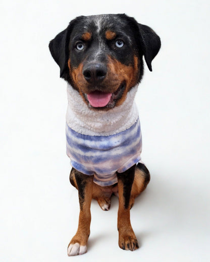 Aussie Rottweiler dog wearing a purple and pink tie-dye fleece pullover sweater