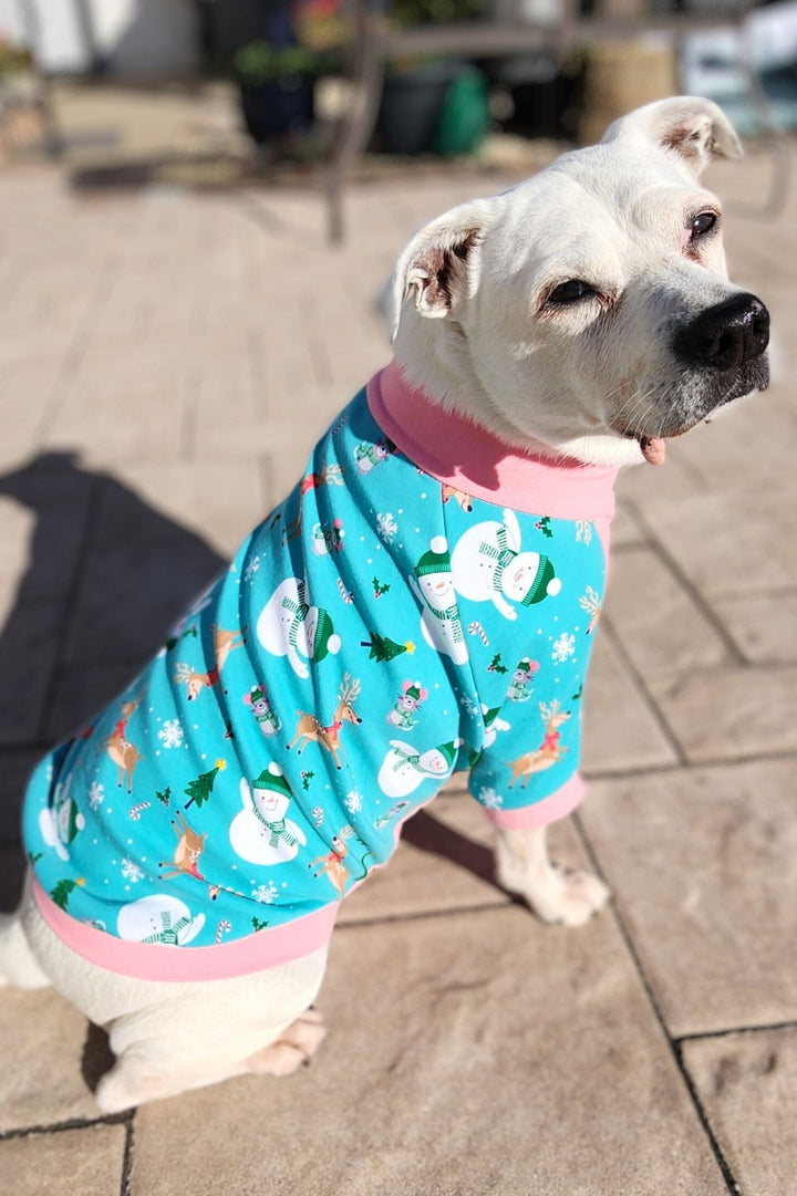 An adorable dog showcases Jax & Molly's Festive Snowmen Dog pajamas, adorned with holiday-themed snowmen, deer, pine trees, and other festive accents, all set against a mint-colored fabric.