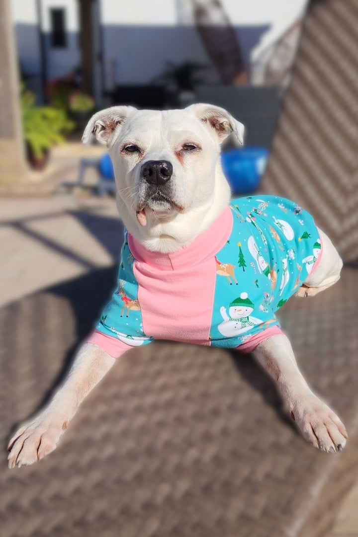 Sun bathing pup wearing Jax & Molly's Festive Snowmen Dog pajamas, adorned with holiday-themed snowmen, deer, pine trees, and other festive accents, all set against a mint-colored fabric.