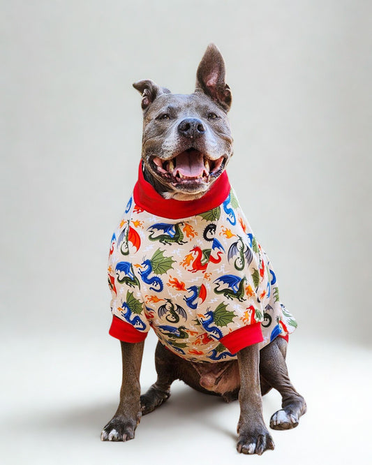 Gray pitbull modeling Jax & Molly's dog pajamas featuring a fire-breathing dragons  print against a tan backdrop.