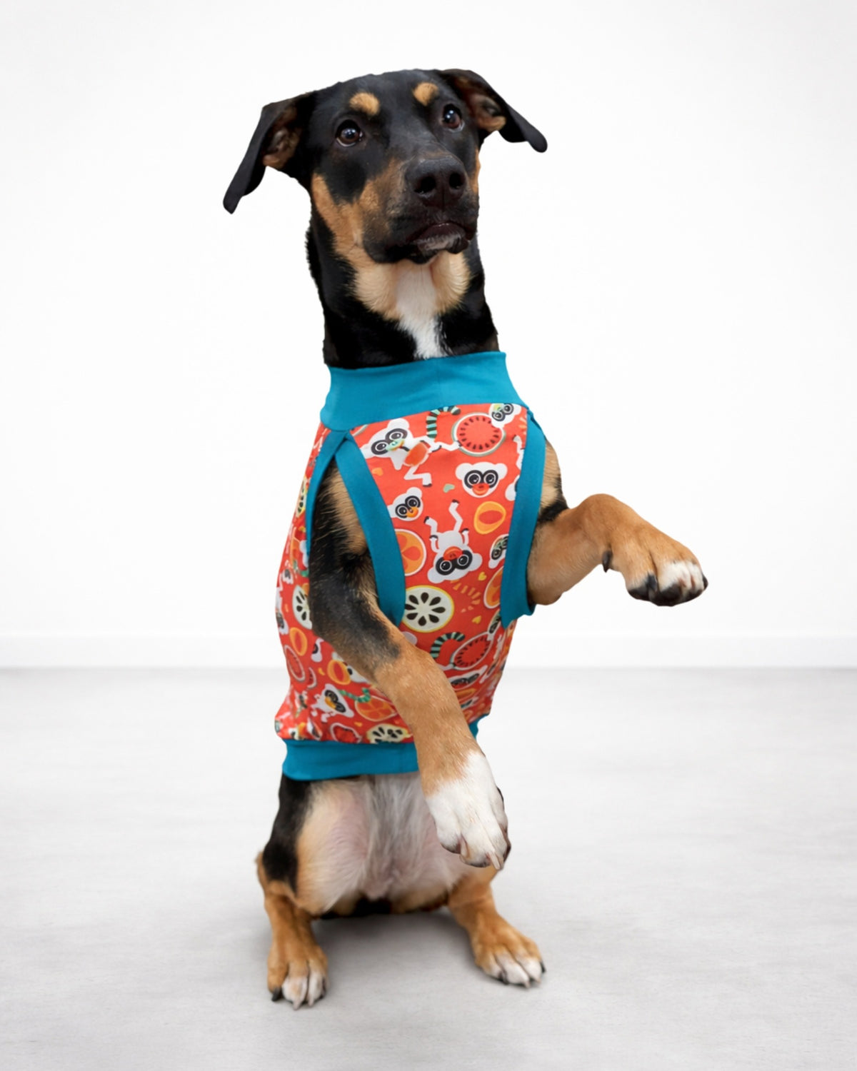 Fruity Lemurs Poly-Spandex Dog Pajamas
