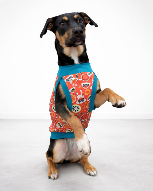 Fruity Lemur lightweight poly-spandex dog pajamas on black dog, begging position