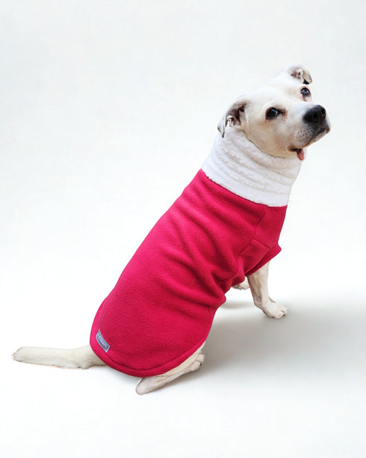 A dog posing in a fuchsia pink fleece dog pullover sweater.