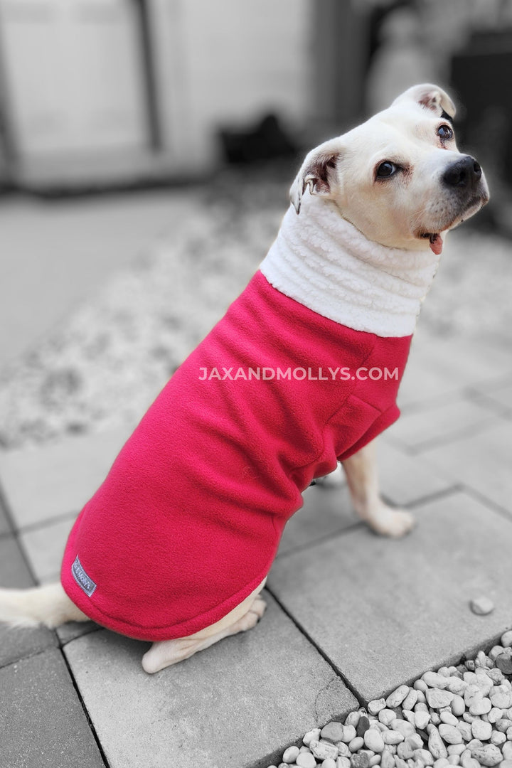 A dog posing in a fuchsia pink fleece dog pullover sweater.