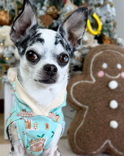 Close-up of small dog wearing gingerbread house hoodie near gingerbread decor