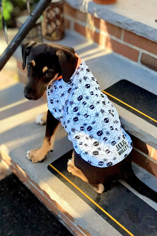 Dog wearing Halloween dog pajamas with glow in the dark spider print by Jax & Molly's