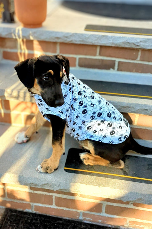 Dog wearing Halloween dog pajamas with glow in the dark spider print by Jax & Molly's