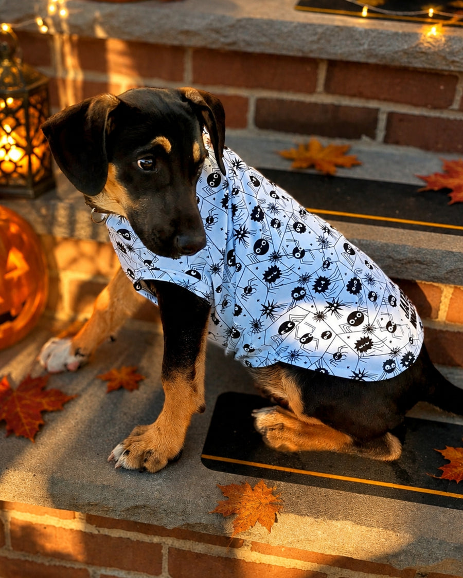 Glow-in-the-Dark Spider Dog Pajamas | Classic Tee