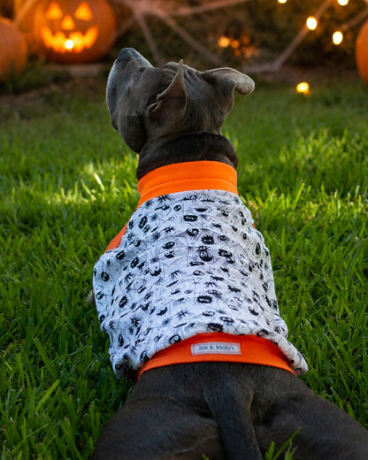 Back profile of a gray pitbull modeling a Halloween Dog Muscle Tank adorned with a glow-in-the-dark spider design, accented by vibrant orange trim around the neck, sleeves, and waistband.