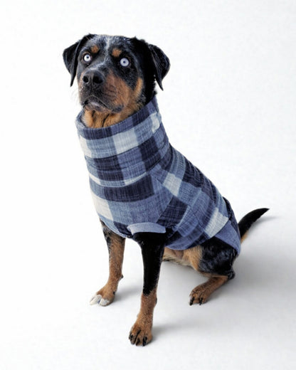 Gray, black and white plaid fleece dog sweater on black dog with white background