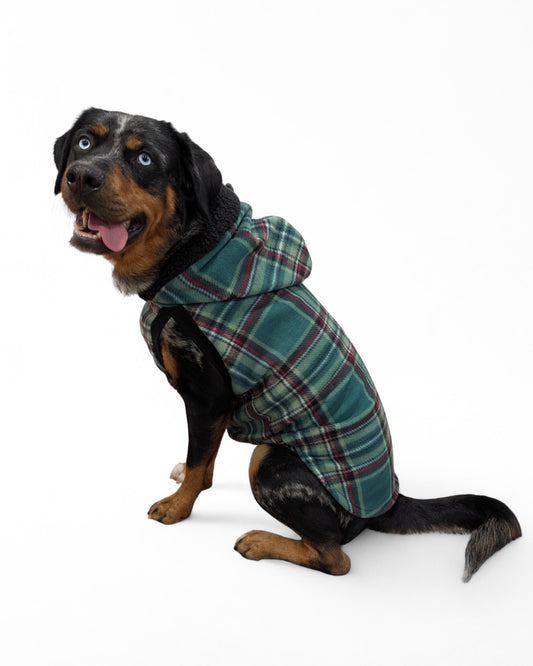 Dog wearing green plaid fleece dog sweater with black sherpa-trim hood