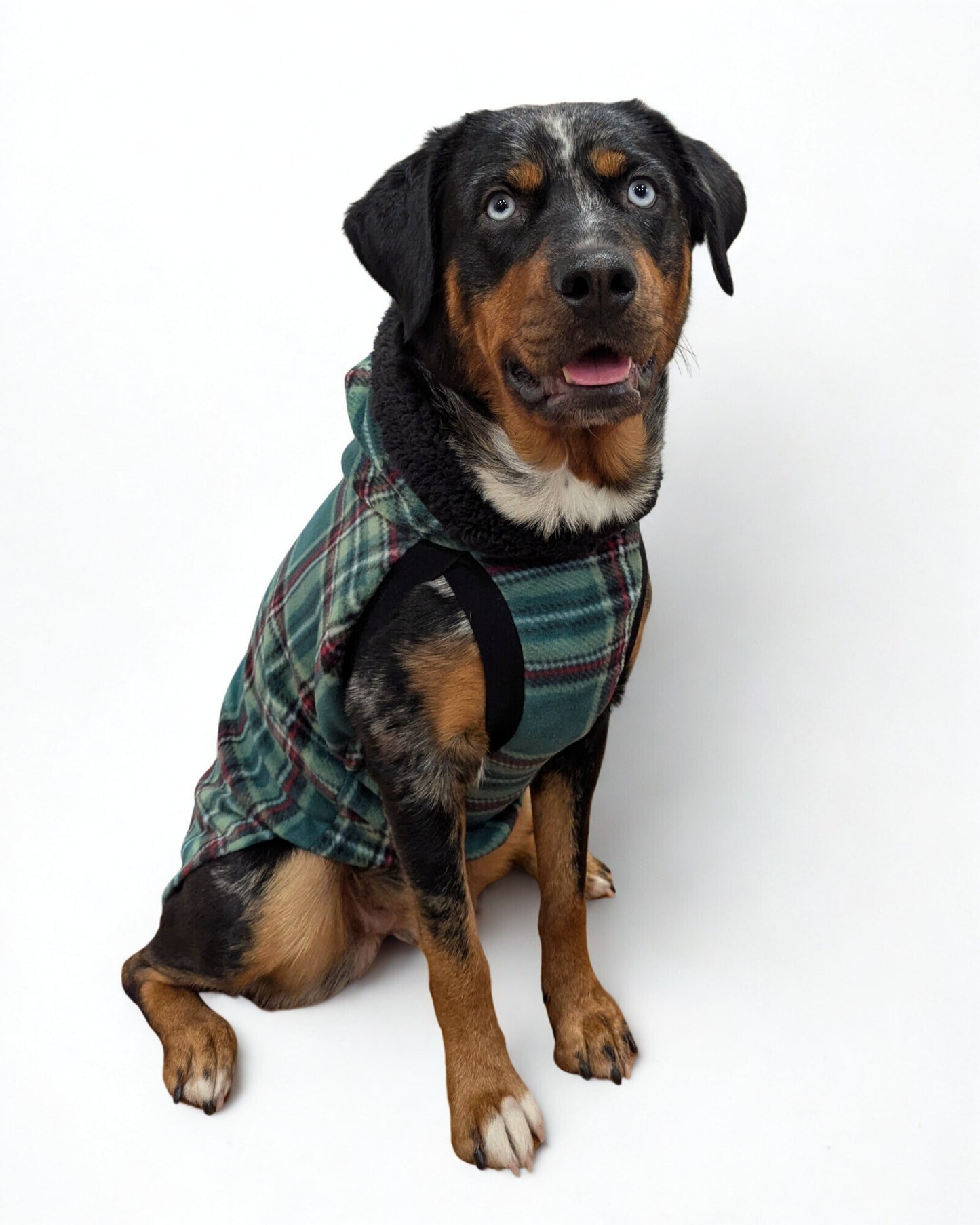 Dog wearing green plaid fleece dog sweater with black sherpa-trim hood