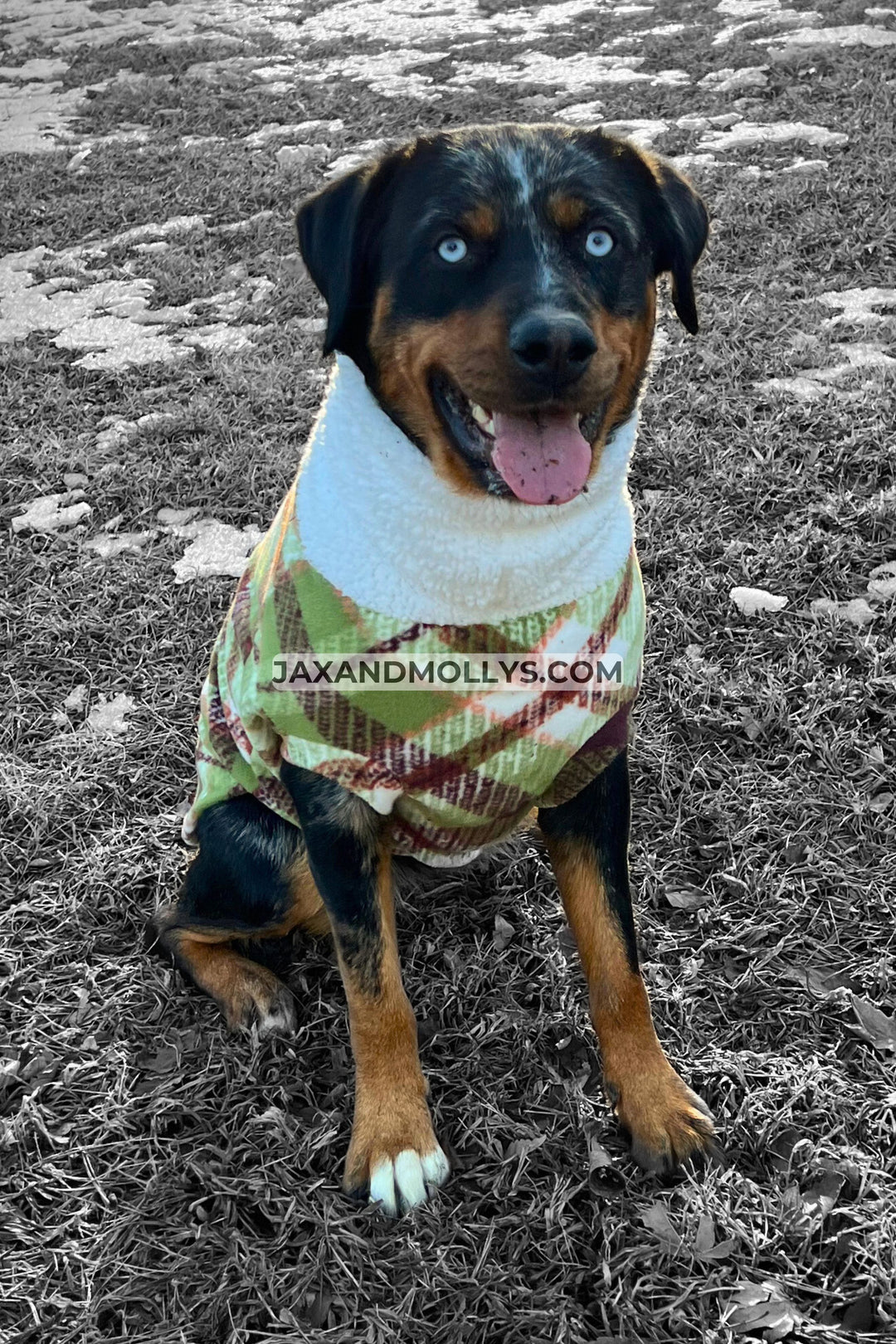Green Plaid Dog Sweater with Faux Sherpa Turtleneck