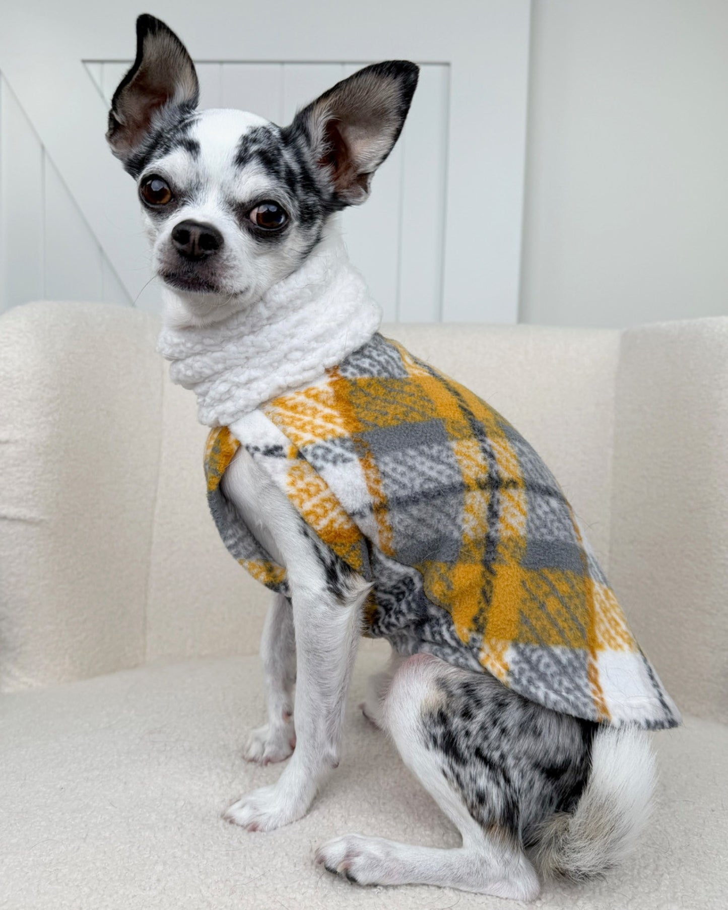 Small dog wearing yellow, gray, and white plaid fleece sweater with sherpa turtleneck