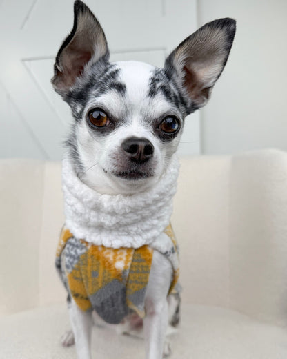 Front view of dog wearing warm plaid fleece sweater with soft sherpa turtleneck