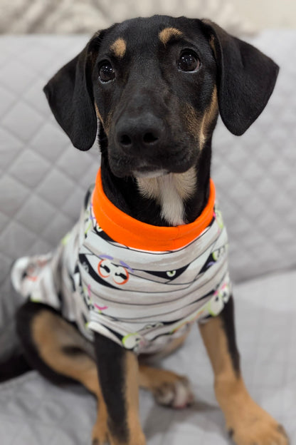 Dog wearing Glow-in-the-dark Halloween  mummy wrap pajamas with orange neck trim.