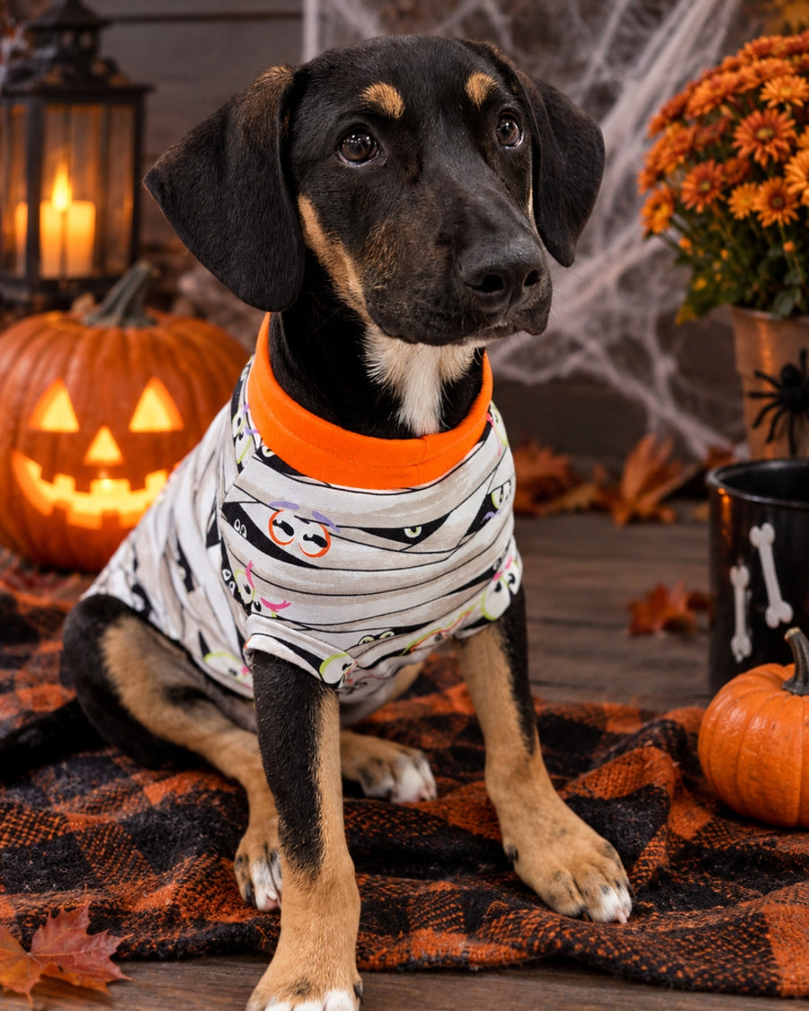 Glow-in-the-Dark Halloween Dog Pajamas – Mummy Wrap Print | Cotton Spandex Classic Tee
