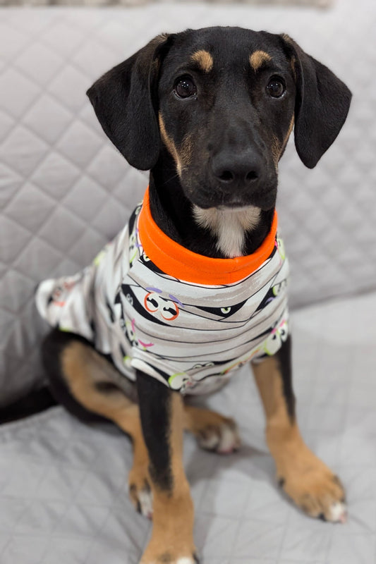 Dog wearing Glow-in-the-dark Halloween pajamas with mummy wrap print and orange neck trim.