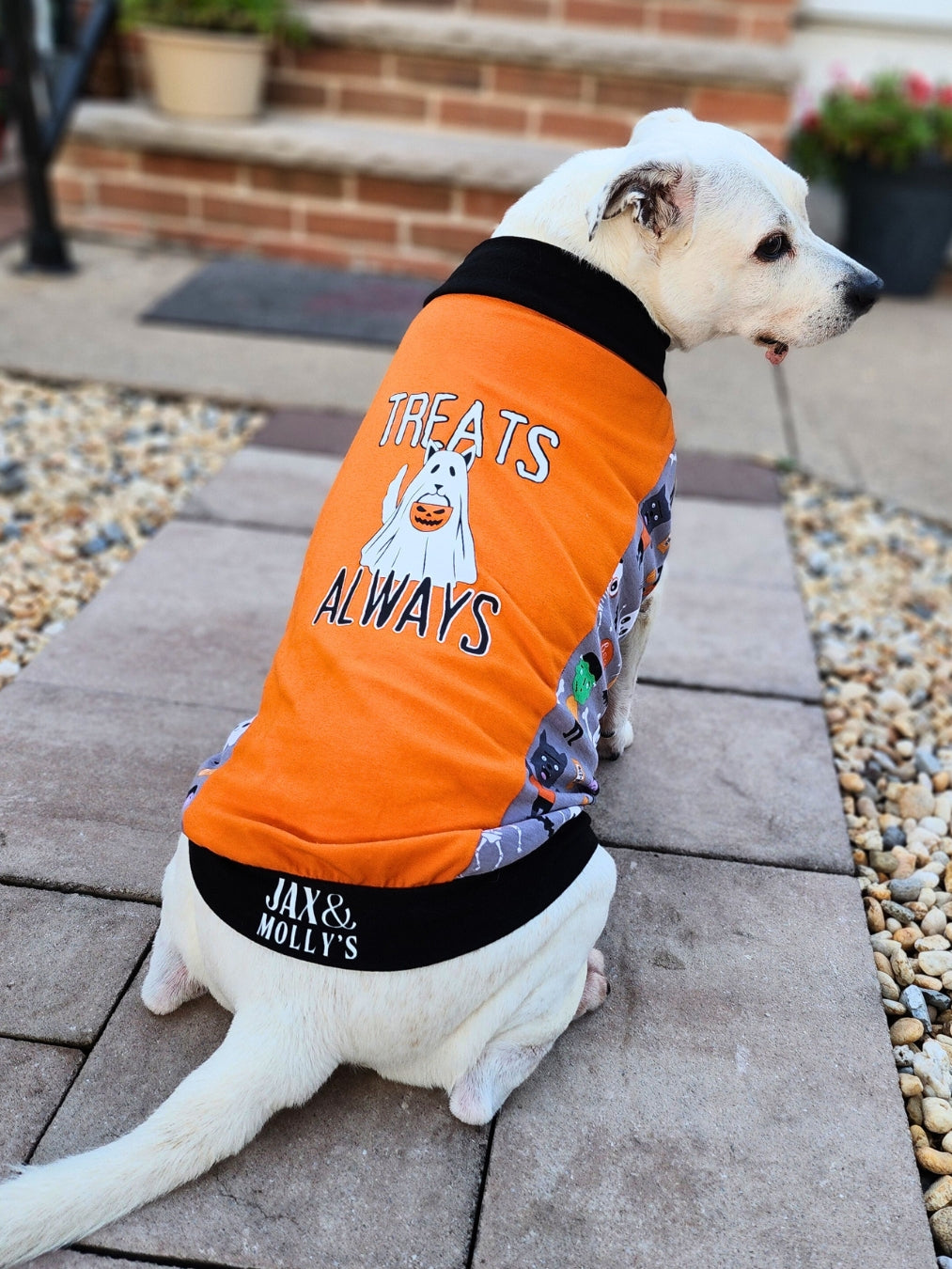 Dog wearing Halloween Treats Always muscle tank with ghost vinyl print