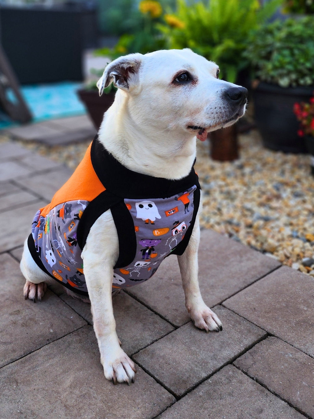 Close-up of dog wearing Jax & Molly's Halloween ghost dog vinyl print on orange muscle tank
