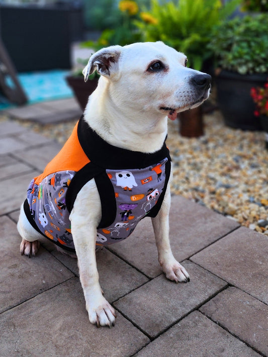 Close-up of dog wearing Jax & Molly's Halloween ghost dog vinyl print on orange muscle tank