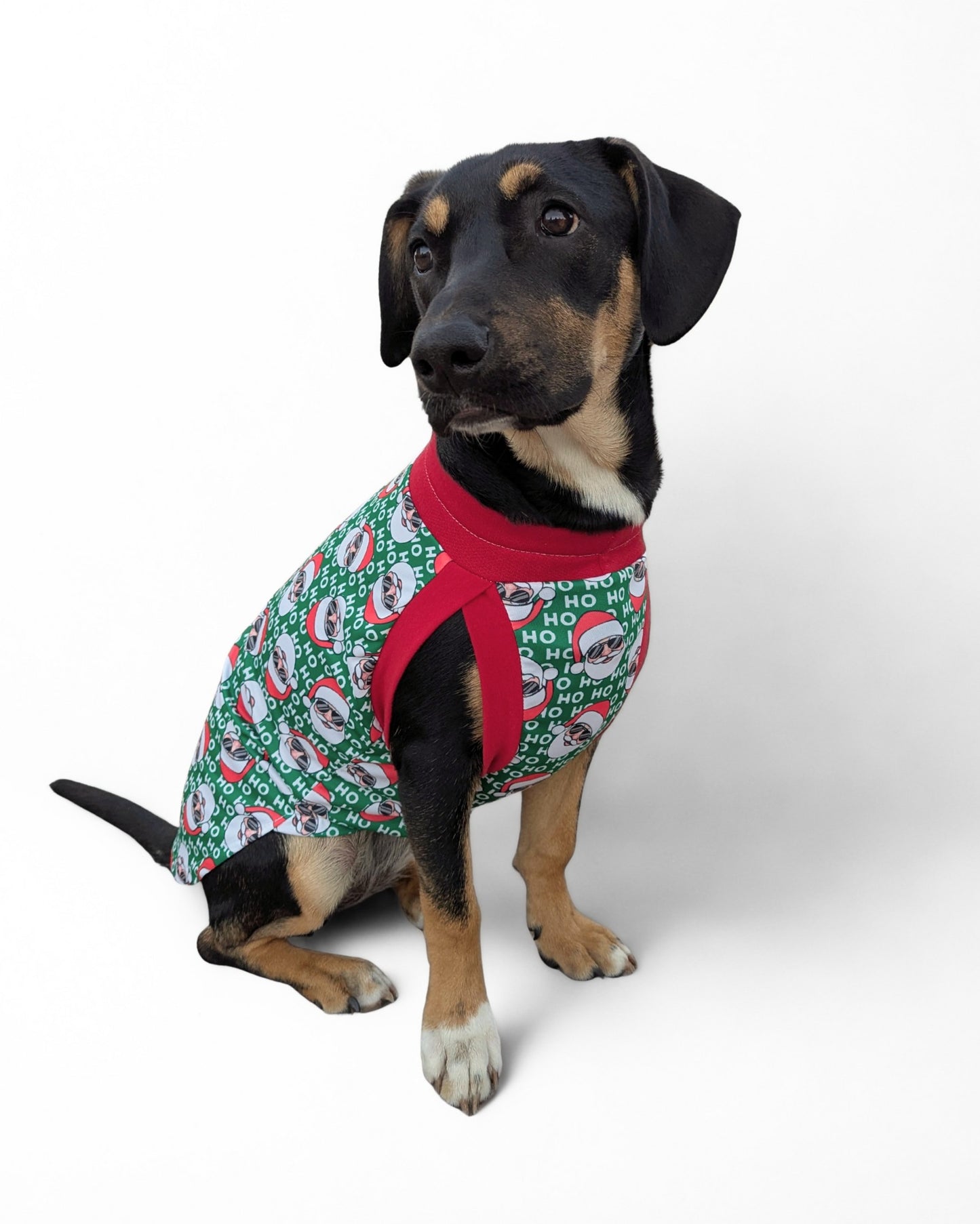 Dog wearing Christmas dog tank with red trim by Jax & Molly’s