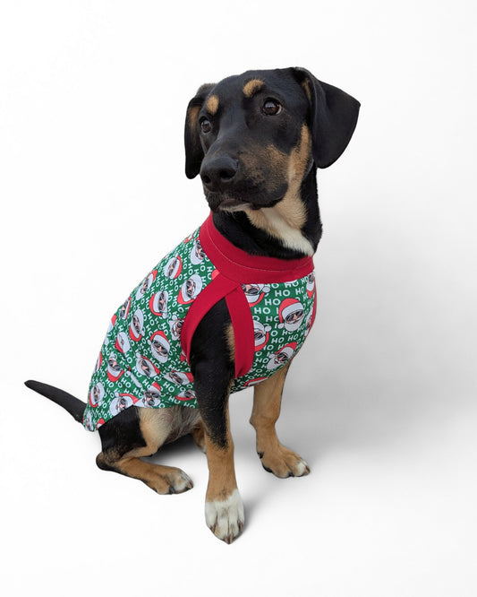 Dog wearing Christmas dog tank with red trim by Jax & Molly’s