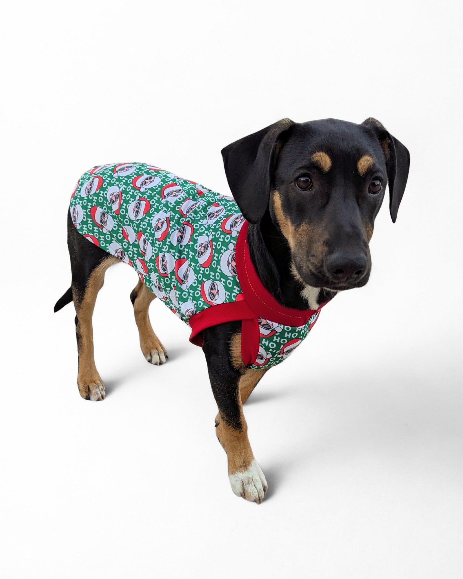 Festive Christmas dog tank with Santa pattern and red trim by Jax & Molly’s