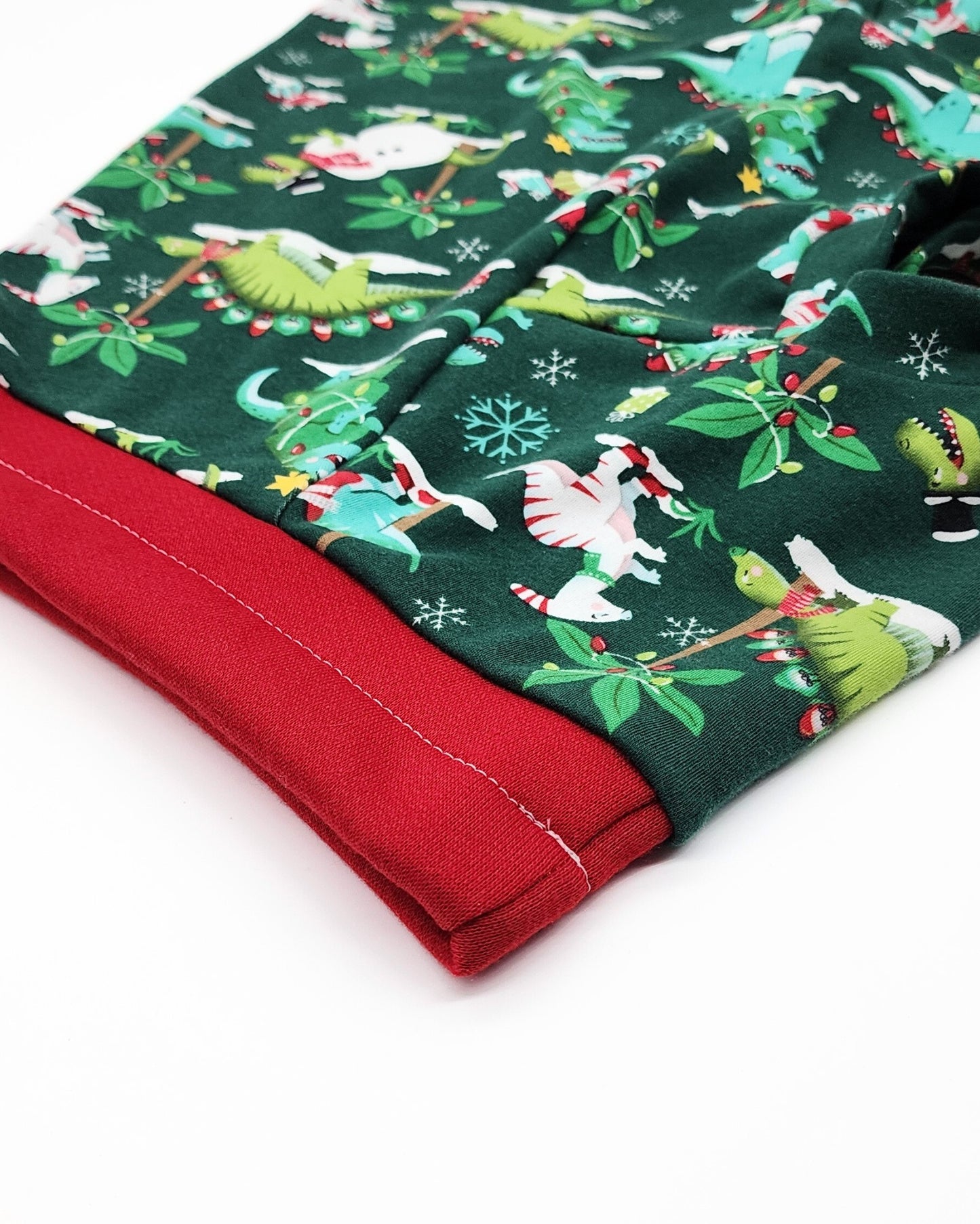 Red neckline trim detail on Jax & Molly’s Holiday Dino Dog Tee