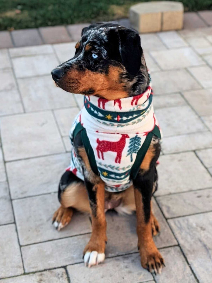 A Rottweiler modeling a stunning dog sweater embellished with deer and pine tree motifs.