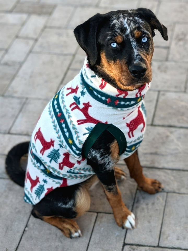 Side profile of a Rottweiler modeling a stunning dog sweater embellished with deer and pine tree motifs.