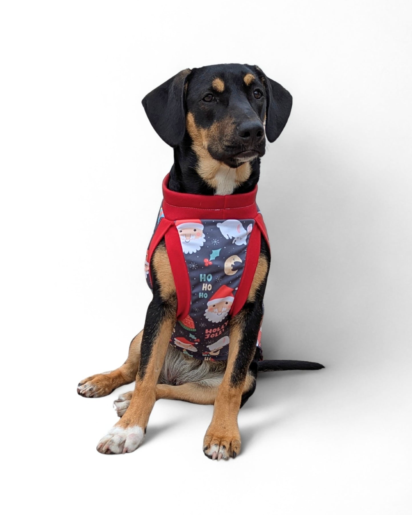 Dog wearing Holly Jolly Christmas tank with red trim and Santa print by Jax & Molly’s — front view